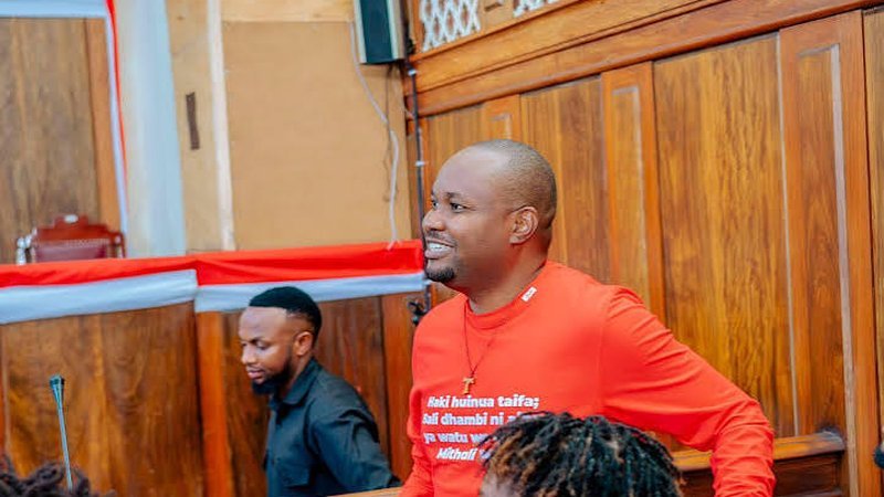 Mnyika Tells High Court Lissu's Speech Carried CHADEMA Policy, Not a Private Plot